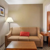 Отель Quality Inn & Suites, фото 21