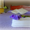 Отель Casa Rural Mas Violella, фото 2