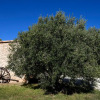 Отель Mas des Olives, фото 4