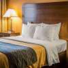 Отель Quality Inn & Suites, фото 11