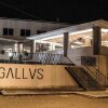 Отель Gallus, фото 1