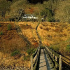 Отель The Hall Bunkhouse, фото 19