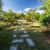 Отель Pineapple Fields, фото 48