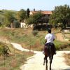 Отель Le Crete Azienda Agraria Agriturismo, фото 22