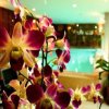 Отель Bodega Chiang Mai Pool Party - Hostel, фото 22