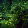 Отель Ryokan Chiisana Oyado Tsuki no Hotaru, фото 14
