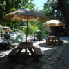Отель The Parrot Nest, фото 11