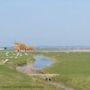 Отель Saltmarsh Cottage, фото 20