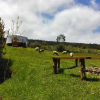 Отель Yurt in Puyehue with Volcano Views, фото 14