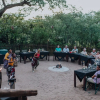 Отель Buffalo Rock Tented Camp, фото 17
