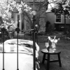 Отель Historic Clyde Cottage Guest House, фото 4