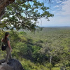 Отель Ohorongo Tented Camp, фото 16