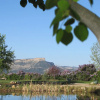 Отель Starry Nights Ranch Bed & Breakfast, фото 9