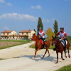 Отель An agritourism complex with views of Assisi., фото 16