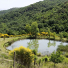 Отель Ginestra (GAM221), фото 21