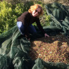 Отель Wild Fig Retreat, фото 33