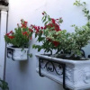 Отель Colonial Homestay Mompox - Casa Cristina Van Strahlen, фото 1