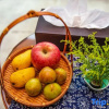 Отель Shaoxing Hotel Yonghe Manor, фото 5