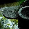 Отель Tsumikusa No Yado Komatsu Ryokan, фото 14