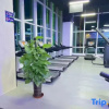 Отель Vienna International Hotel (Chengde University Town High Speed Railway Station), фото 6