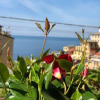 Отель Guest House 3 Stars Riomaggiore, фото 17