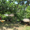 Отель Apartments Marko, фото 1