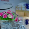 Отель Shijiazhuang YC Hostel, фото 3