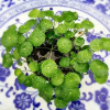 Отель Hongcun Bali Xianghe, фото 18