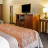 Отель Comfort Inn & Suites Midtown, фото 7