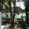 Отель Penh House Jungle Addition, фото 22