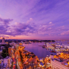 Отель Mercure Yokosuka, фото 21