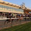 Отель Holiday Inn Wolverhampton - Racecourse, an IHG Hotel, фото 30