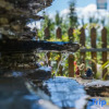 Отель Dali mohai orchid Sea View Garden Courtyard, фото 9