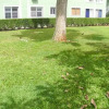 Отель Shirleys Townhouse in Mililani, фото 2