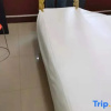 Отель Fangxing Express Hotel (Shijiazhuang Luquan Zoo), фото 6