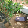 Отель Wasantha Garden Hotel, фото 16