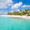 Отель Palm Island Resort All Inclusive, фото 33