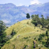 Отель Royal Mount Ella, фото 19
