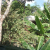 Отель Villagio Verde, фото 14