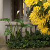 Отель Palacio Arias, фото 19