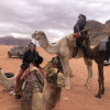 Отель Friend wadi Rum, фото 5