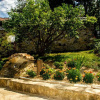 Отель Villa Pontica, фото 5