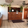 Отель Dogwood Park Inn, фото 2