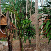Отель Dahla Lanta Hut, фото 43