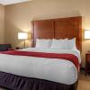 Отель Comfort Inn DFW North-Irving, фото 17