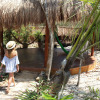 Отель Joy Tulum - Adults Only., фото 16