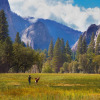 Отель Best Western Plus Yosemite Gateway Inn, фото 15