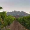 Отель Asara Wine Estate & Hotel, фото 42