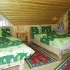 Отель Pensiunea Luminita, фото 2