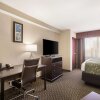 Отель Comfort Suites, фото 45